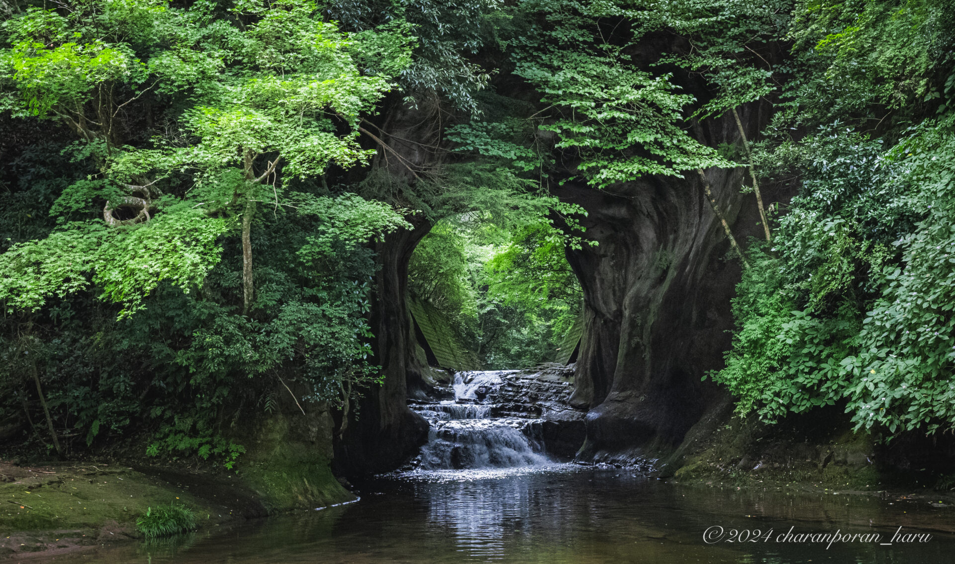 【農溝の滝・養老渓谷】夏の渓谷美を堪能（千葉県君津市・夷隅郡）